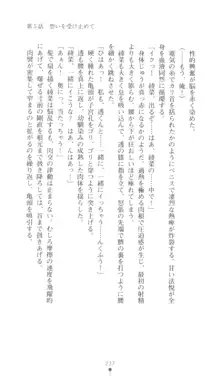 こんな娘がいたら僕はもう…!! 三瀬綾菜の情熱, 日本語