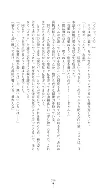 こんな娘がいたら僕はもう…!! 三瀬綾菜の情熱, 日本語