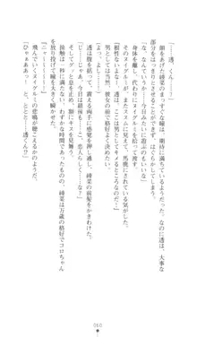 こんな娘がいたら僕はもう…!! 三瀬綾菜の情熱, 日本語