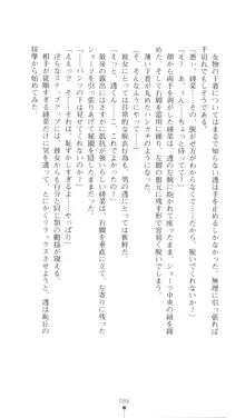 こんな娘がいたら僕はもう…!! 三瀬綾菜の情熱, 日本語