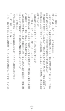 こんな娘がいたら僕はもう…!! 三瀬綾菜の情熱, 日本語