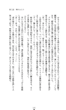 こんな娘がいたら僕はもう…!! 大音渚の情熱, 日本語