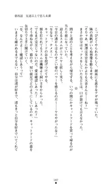 こんな娘がいたら僕はもう…!! 大音渚の情熱, 日本語