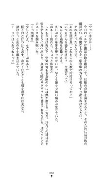 こんな娘がいたら僕はもう…!! 大音渚の情熱, 日本語