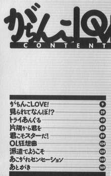 がちんこLove!, 日本語