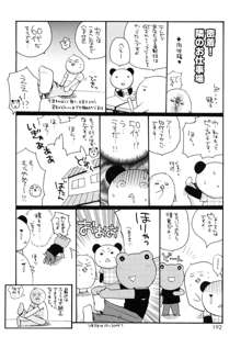 僕の白い花, 日本語