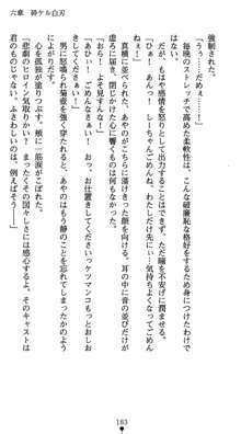 淫辱学園剣姫 穢される誇りと絆, 日本語