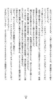 淫辱学園剣姫 穢される誇りと絆, 日本語