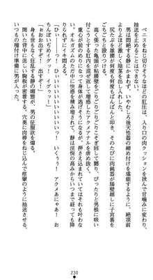 淫辱学園剣姫 穢される誇りと絆, 日本語