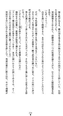 淫辱学園剣姫 穢される誇りと絆, 日本語