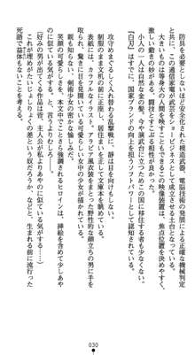 淫辱学園剣姫 穢される誇りと絆, 日本語