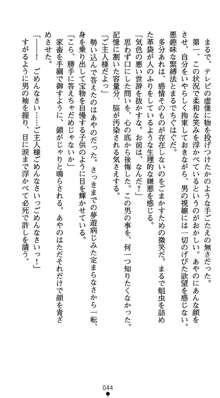 淫辱学園剣姫 穢される誇りと絆, 日本語