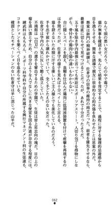 淫辱学園剣姫 穢される誇りと絆, 日本語