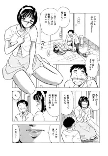 ひみつ妻2, 日本語