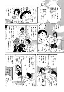 ひみつ妻4, 日本語