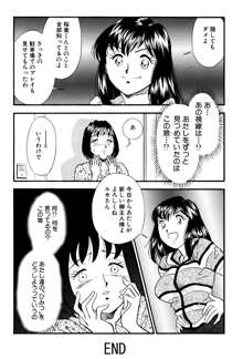 ひみつ妻6, 日本語