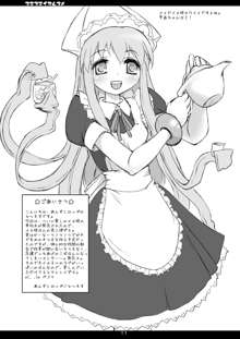 すきすきイカ娘, 日本語