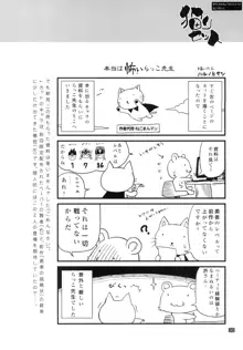 勇者の挑戦状2　猫リセット, 日本語