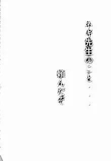 ネギまる! 5, 日本語