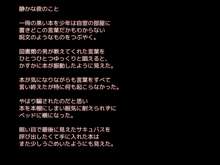 ふたサキュ ふたなりサキュバスは可愛い男の娘がお好き, 日本語