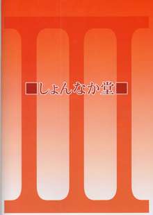 III姉が好きでもいいじゃない, 日本語