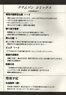 褐色の無邪気な鎖3, 日本語