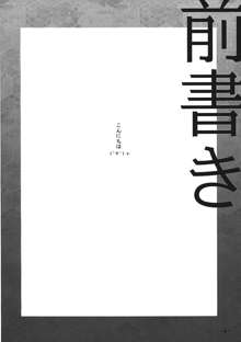 差し押さえ霊夢, 日本語