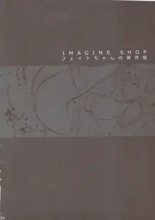 IMAGINE SHOP フェイトちゃんの依存症, 日本語