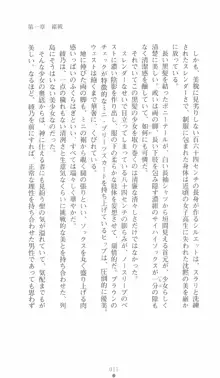 学園対魔捜査官 斎藤綾乃, 日本語