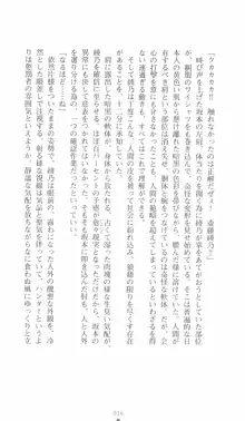 学園対魔捜査官 斎藤綾乃, 日本語