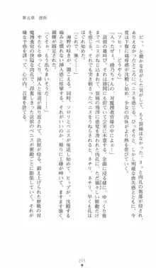 学園対魔捜査官 斎藤綾乃, 日本語