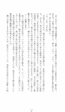 学園対魔捜査官 斎藤綾乃, 日本語