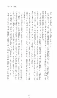 学園対魔捜査官 斎藤綾乃, 日本語