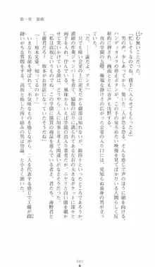 学園対魔捜査官 斎藤綾乃, 日本語