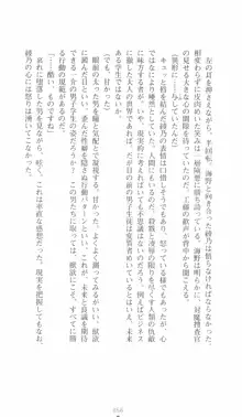 学園対魔捜査官 斎藤綾乃, 日本語