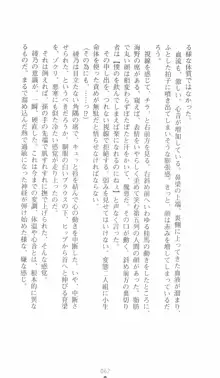 学園対魔捜査官 斎藤綾乃, 日本語