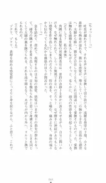 学園対魔捜査官 斎藤綾乃, 日本語