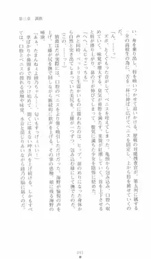 学園対魔捜査官 斎藤綾乃, 日本語