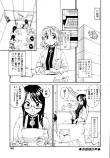 おねえちん, 日本語