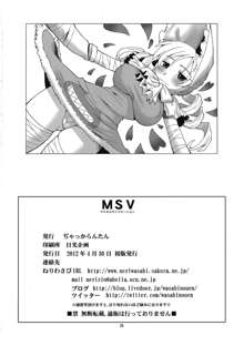 MSV, 日本語