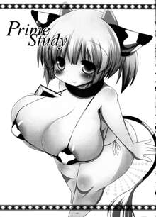 Prime Study, 日本語