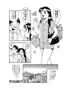 妹♀に痴漢スル？それとも奥様姉妹♀♀にオモチャにサレタイ？, 日本語