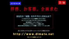 セックス許可証～いつでも誰とでも街で見つけたいい女とやりたい放題!電車編～, 日本語