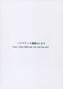 ハイブリッド通信 vol.8.5, 日本語