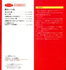 アヘ顔見ないで! 先生はクールな退魔士, 日本語