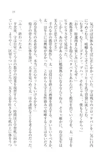 アヘ顔見ないで! 先生はクールな退魔士, 日本語