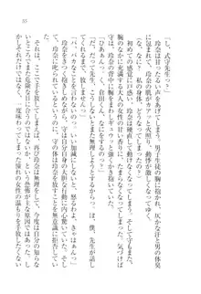 アヘ顔見ないで! 先生はクールな退魔士, 日本語