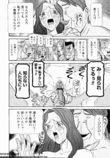 母娘れいど, 日本語