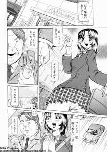 母娘れいど, 日本語