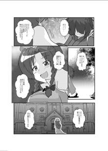 東方TS物語～美鈴編～, 日本語